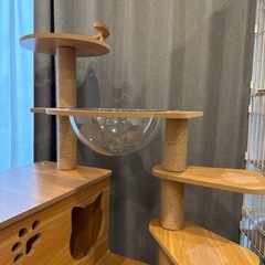 【商談中】キャットタワー の画像