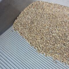 ◇ クズ米　くず米　非食用 R7 引き取り推奨 ◇の画像