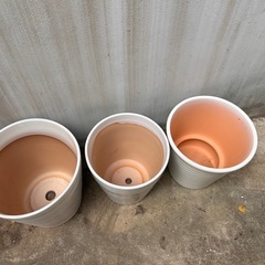 白　陶器製　鉢の画像