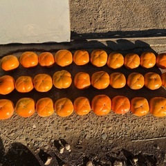 次郎柿30個(甘くて美味しです)おまけあり✨✨の画像