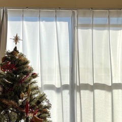 ◎カメラ女子募集◎2025.12.20or21