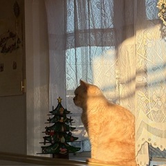 ◎カメラ女子募集◎2025.12.20or21 - 浜松市