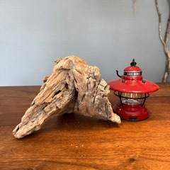 20.どんな角度も良さげな流木…天然物、インテリア、オブジェの画像