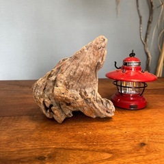 20.どんな角度も良さげな流木…天然物、インテリア、オブジェの画像