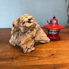 20.どんな角度も良さげな流木…天然物、インテリア、オブジェの画像