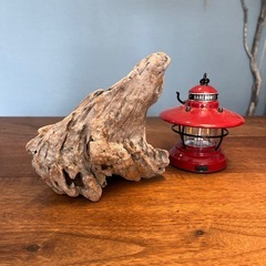 20.どんな角度も良さげな流木…天然物、インテリア、オブジェの画像