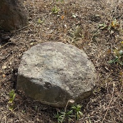 庭石 ガーデニング 石 和風庭園 造園　大 中 小の画像