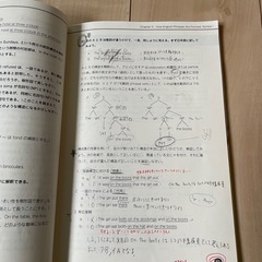 First Steps in English Linguisticsの画像