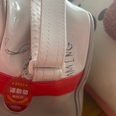 コナミスポーツクラブレッスン専用バッグの画像