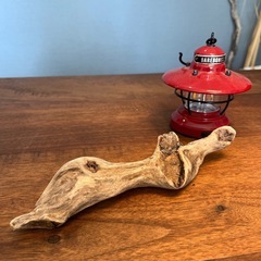 20、スプーン風〜〜流木、天然物、インテリア！オブジェの画像