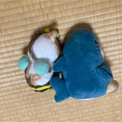 モフサンド　ぬいぐるみ　さめにゃんの画像
