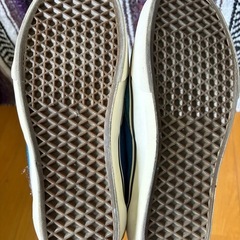 VANS TNT FIVE ブルー&ブラッくクの画像