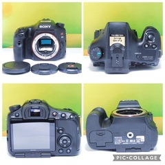 ✨美品✨SONY α65✨ダブルレンズ✨初心者おすすめ✨スマホ転送OK✨一眼レフの画像