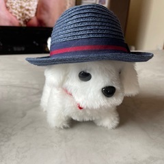 おもちゃの画像