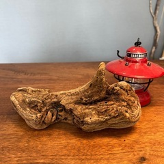 20、リング捻り〜流木、天然物、インテリア、置物の画像