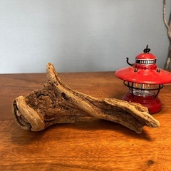 20、リング捻り〜流木、天然物、インテリア、置物の画像