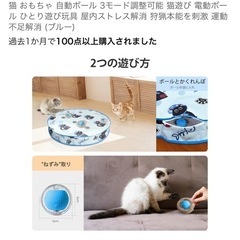 自動猫おもちゃの画像