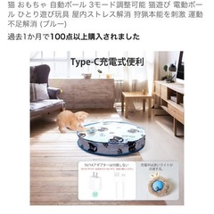 自動猫おもちゃの画像