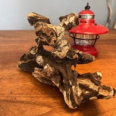 20、荒れたボコボコ〜流木、天然物、インテリア、オブジェの画像