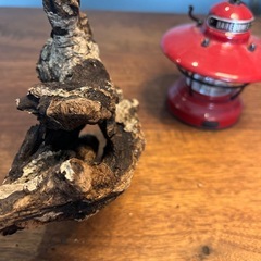 20、荒れたボコボコ〜流木、天然物、インテリア、オブジェの画像