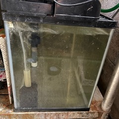 水槽セット2台と魚2匹売りますの画像