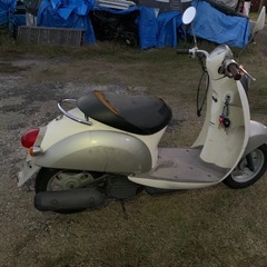 ホンダ　HONDA クレアスクーピー　原付き　49cc 現状販売　動作確認済　未整備の画像