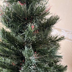 クリスマスツリーの画像