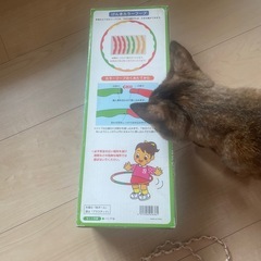 カラーフープの画像