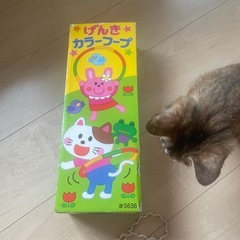 カラーフープの画像