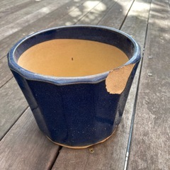 3個セット　ガーデニング　盆栽　グリーンインテリア　藍色の鉢　の画像