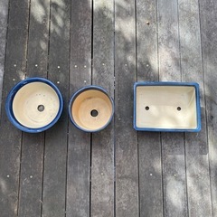 3個セット　ガーデニング　盆栽　グリーンインテリア　藍色の鉢　の画像