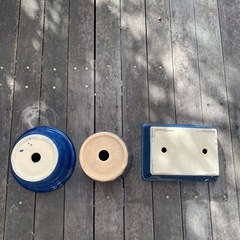 3個セット　ガーデニング　盆栽　グリーンインテリア　藍色の鉢　の画像