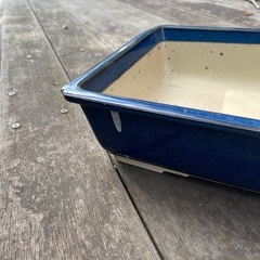 3個セット　ガーデニング　盆栽　グリーンインテリア　藍色の鉢　の画像