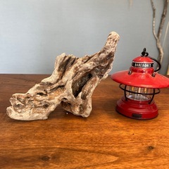 20、トンガリ帽子風〜流木、天然物、インテリア、オブジェの画像