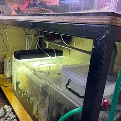 大型水槽､アングルの画像