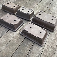 ５点セット　盆栽　ガーデニング　グリーンインテリア　鉢の画像