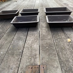 ５点セット　盆栽　ガーデニング　グリーンインテリア　鉢の画像