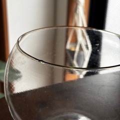 ガラス鉢 金魚鉢の画像