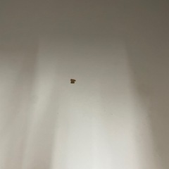 キッチンボードの画像