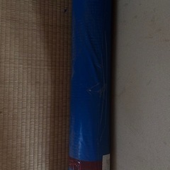 人工芝 1m x 5m 厚さ3.0cmの画像