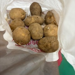 ジャガイモの画像