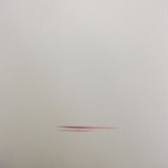 キャビネットワードローブ型の画像