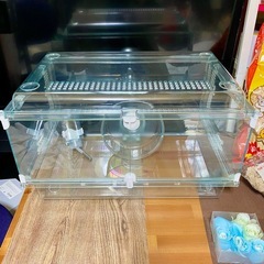 GEX　グラスハーモニー450N  おまけ付の画像