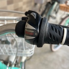 【引き取り限定】子ども用自転車 20インチ mintカラー 女の子向け／狛江市付近／3,000円 の画像