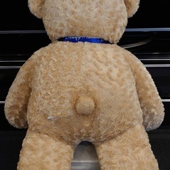 大きなテディベア　Adams Jr.の画像