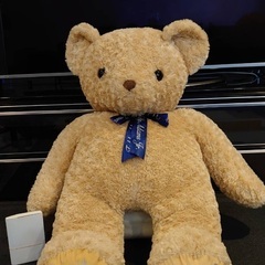 大きなテディベア　Adams Jr.の画像
