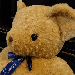 大きなテディベア　Adams Jr.の画像