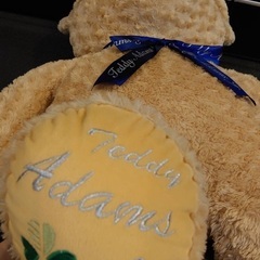 大きなテディベア　Adams Jr.の画像