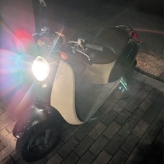 ホンダクレアスクーピー　自賠責6月までの画像