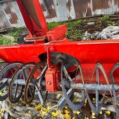 ラッセルの画像